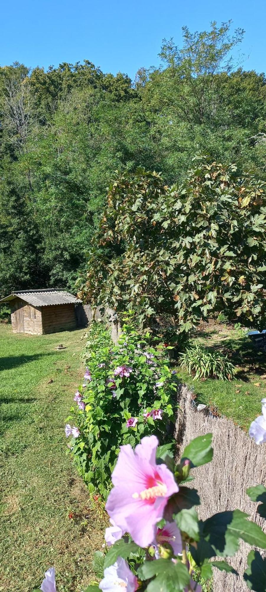 La Casa Bed&Breakfast Entree Independante 26M2 Calme Proche De Tout Wifi Parking Prive Jardin Terrasse Urrugne Zewnętrze zdjęcie